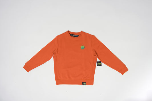 Earth, Wind, & Fyre Crewneck